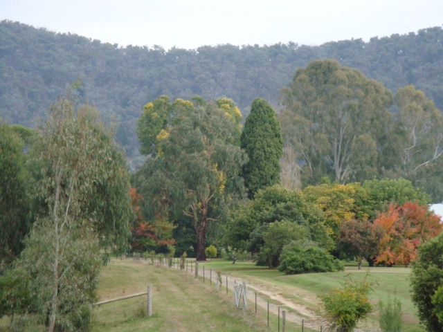 T11059 Merriang Property taken from road