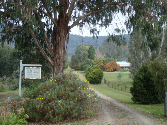 T11059 Merriang Property taken from road