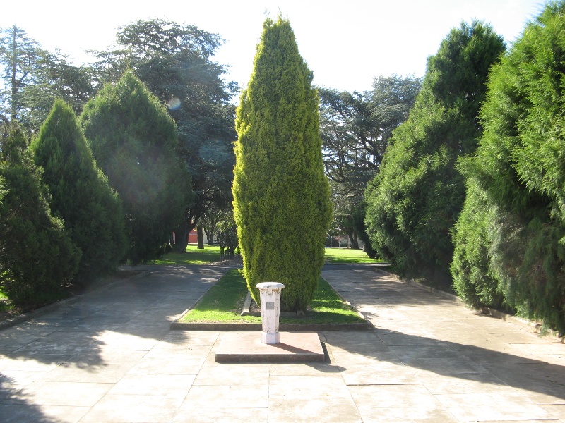 Ararat Civic Precinct landscpaing behind cenotaph