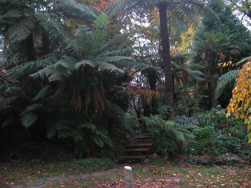 Alfred Nicholas Memorial Garden
