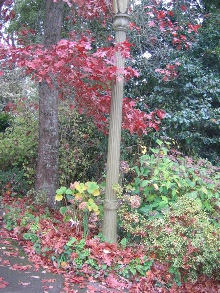 George Tindale Memorial Gardens