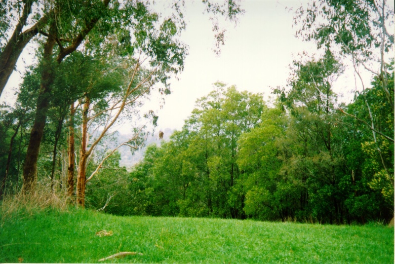 Mt Morton Reserve