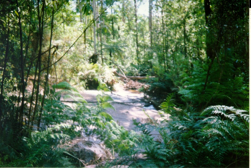 Brittannia Creek Weir and Water Falls