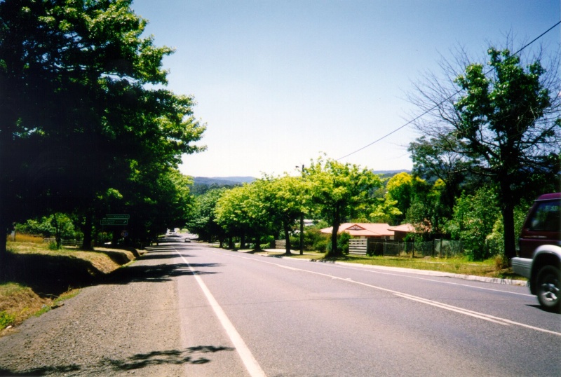 Healesville Street Trees