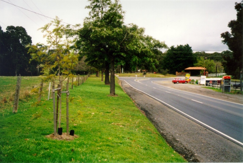 Lysterfield Avenue of Honour