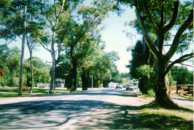 Millgrove WWI Avenue of Honour