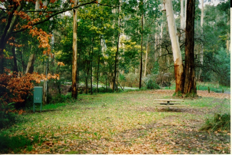 Menzies Creek Gold Diggings