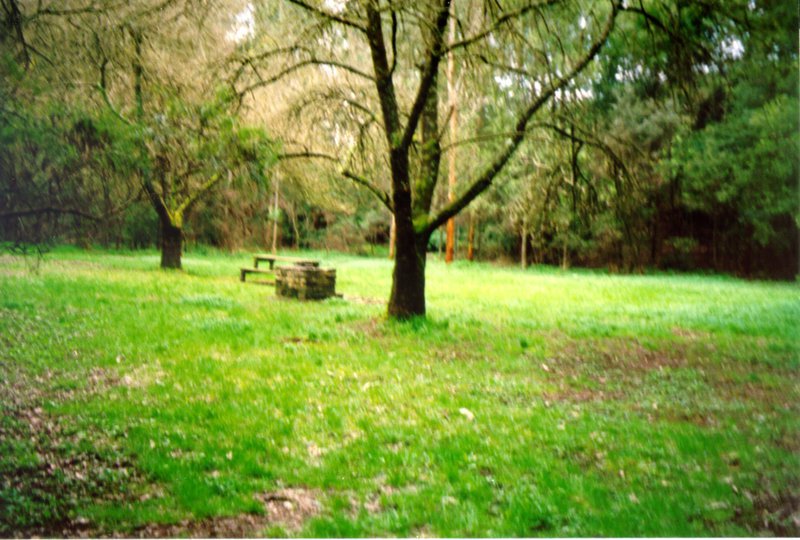 Menzies Creek Gold Diggings