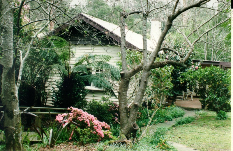 Hillside House and Garden