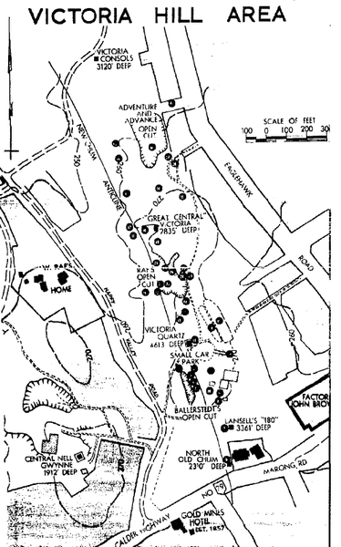 Long Gully Ironbark Comm Res Precinct 5 Victoria Hill Area Map 2.jpg