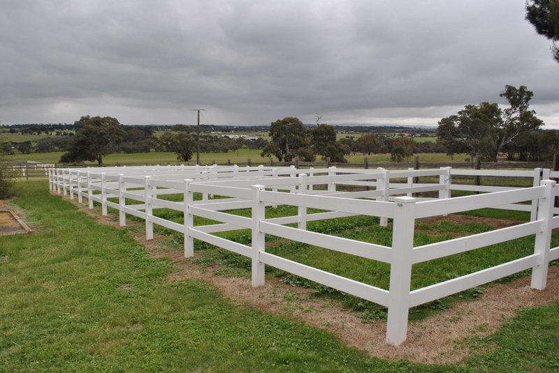 Woodlands Homestead, 2011