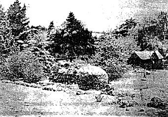 Gardens Conservation Precinct - Buninyong Gardens showing the Bowling Club Pavilion - 1983 Buninyong Conservation Study