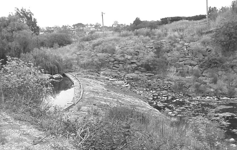 Site 013 - Milburn's Weir.jpg