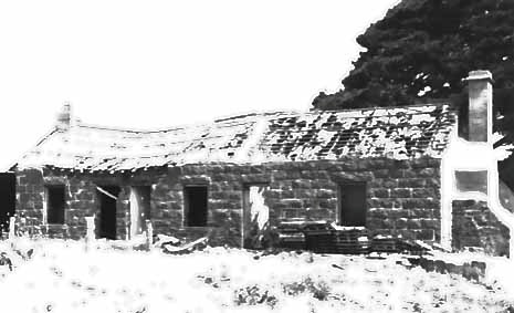 B3858 Mt Taurus Homestead