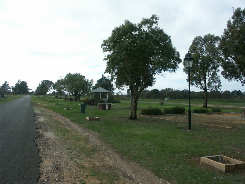 Laidller Reserve &amp; War Memorial, Avenue of Honour