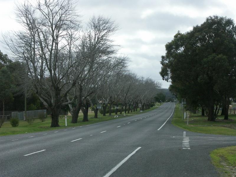 Avenue of Honour, Scarsdale