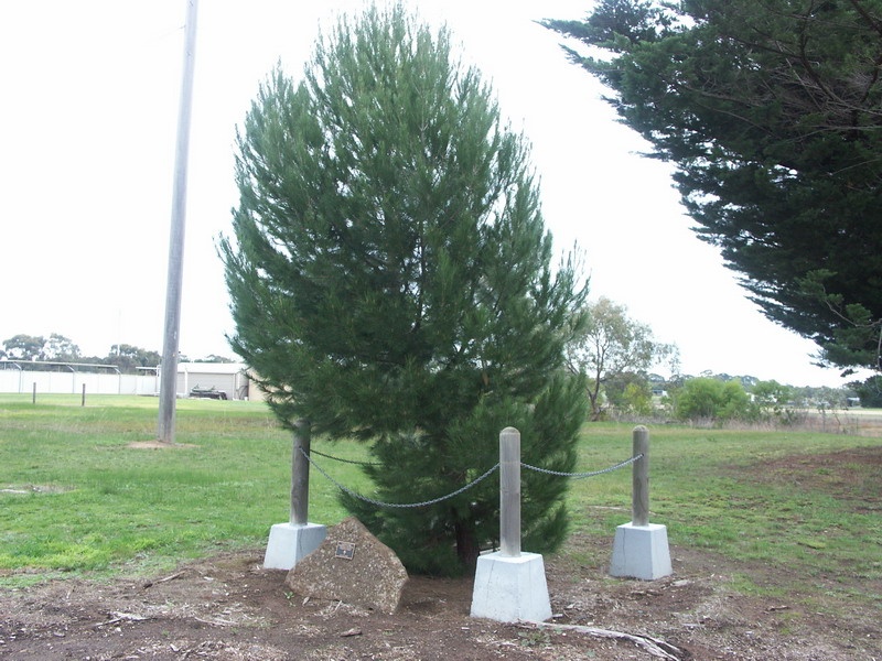 War Memorials, 2012.