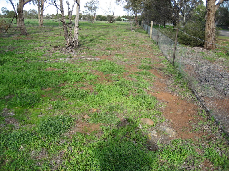 edge of building, looking south.jpg