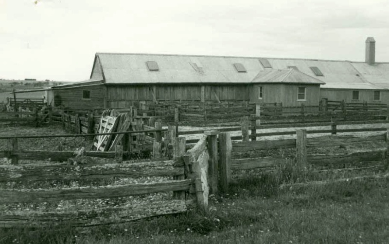 B2914 Woolshed