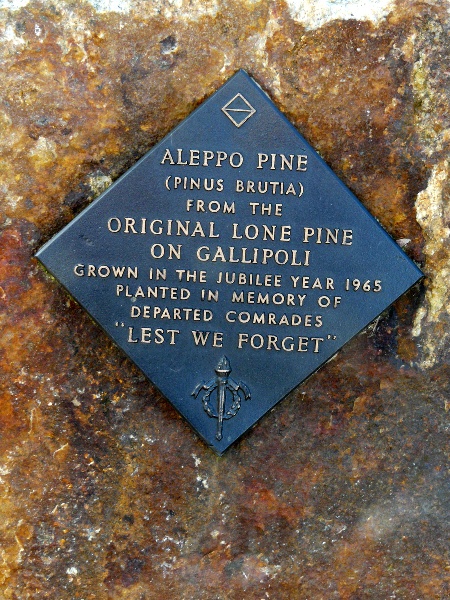 Benalla Lone Pine plaque.jpg