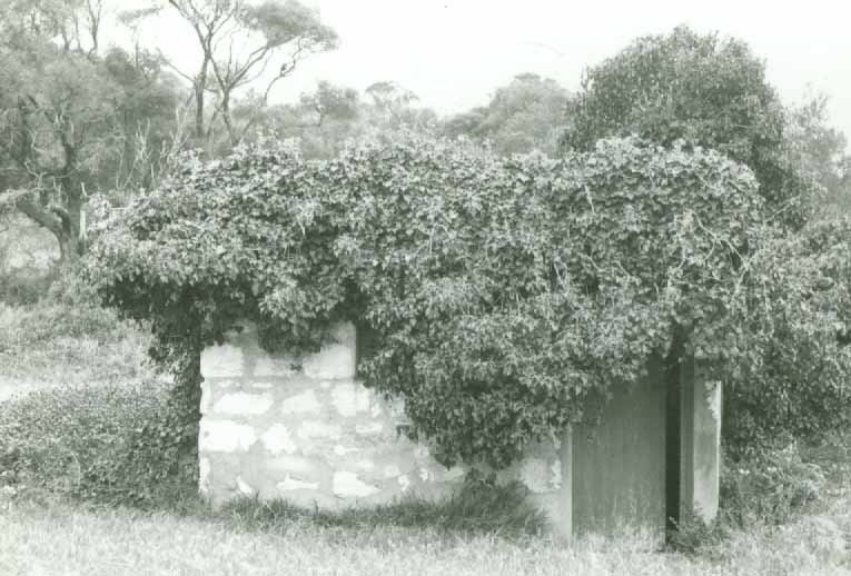 B3037 Old Limestone Kitchen