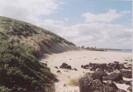 L10276 Griffith Island Sand Dune