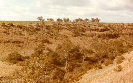 L10028 Werribee River Eynesbury