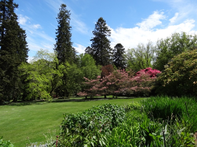 G13102 Duneira main lawn