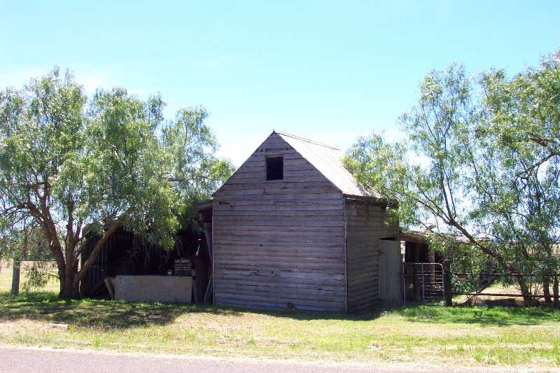 Milking Shed / Barn and Pepper Trees
