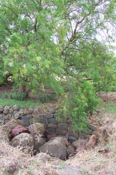 The partly filled bluestone-lined well