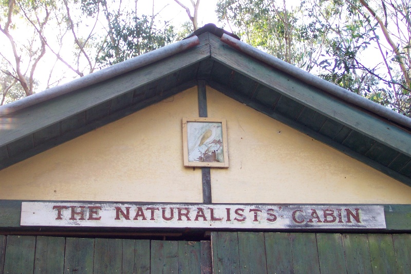 Naturalist Cabin