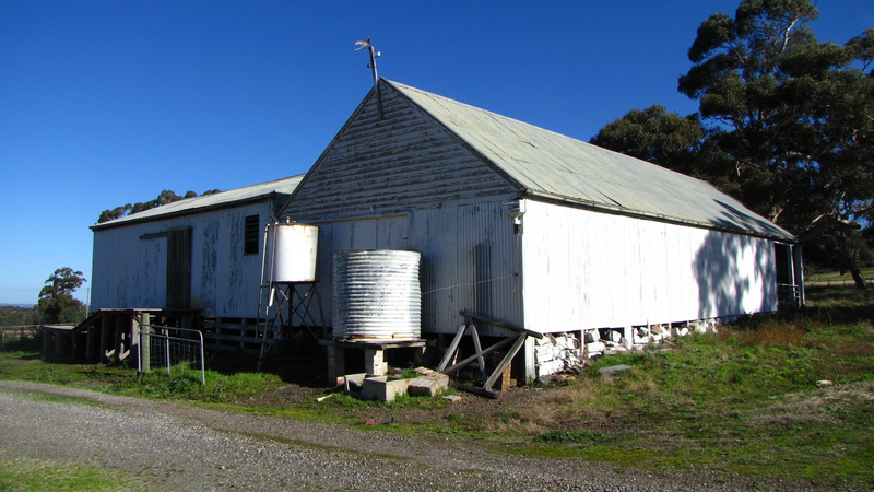 Shearing shed