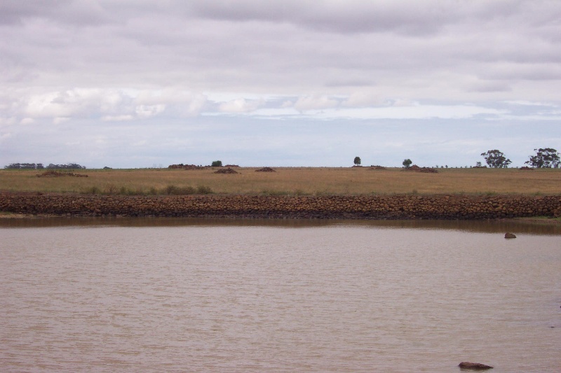 Holden Road Dam