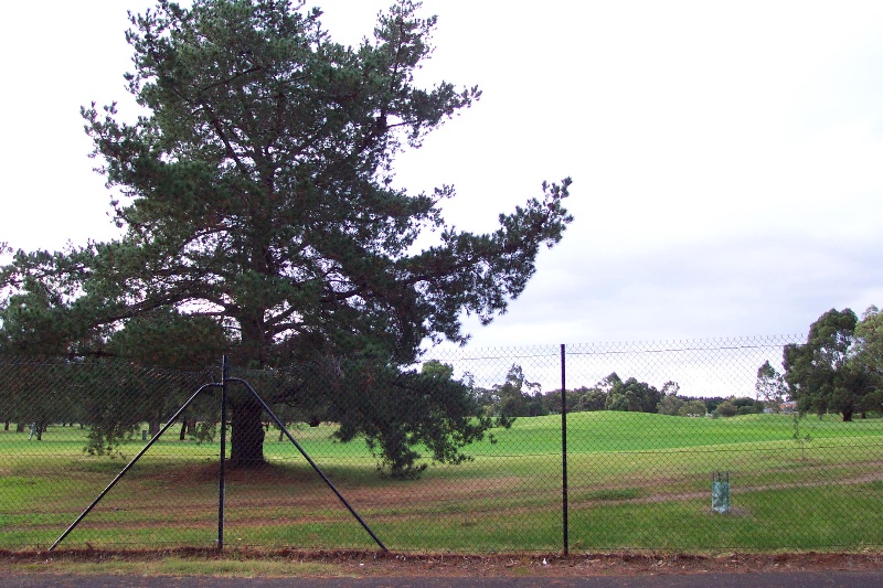 'Dairy Tree', site of the former Melton water bore