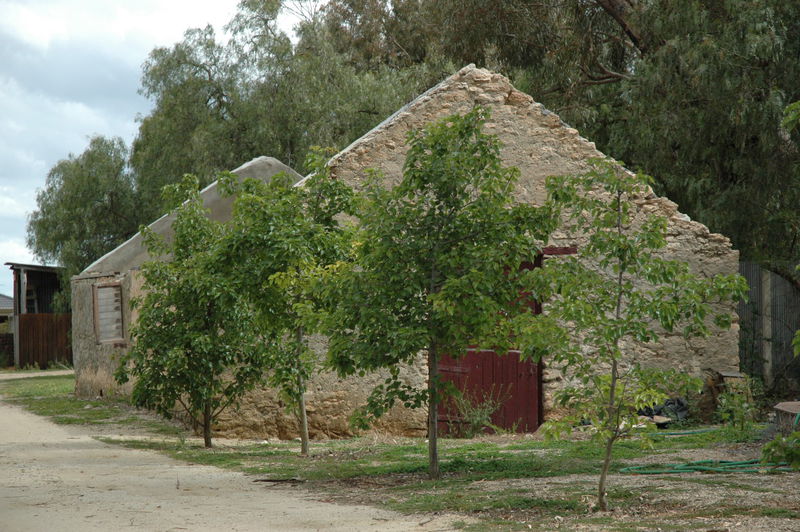Stables Ruins, Laurence Park, 2012