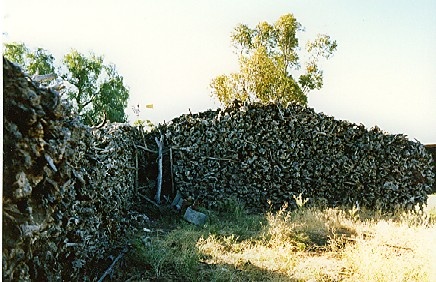 B3626 Mallee Root Hut