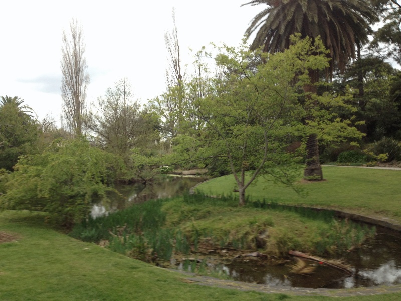 Hedgeley Dene Gardens lake