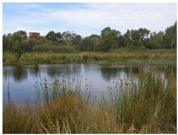 rp Trim Warren Tam-Boore wetland system.jpg