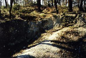 Sandfly Reef Mine and Alluvial Workings