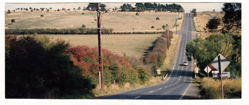 Hawthorn Hedges in Kangaroo Ground Colour 1 - Shire of Eltham Heritage Study 1992