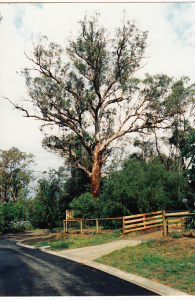 Former Bateman House Colour 16 - Shire of Eltham Heritage Study 1992