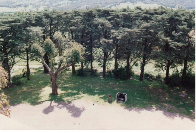 War Memorial and Components Eltham Yarra Gl Rd Colour 1 - Shire of Eltham Heritage Study 1992