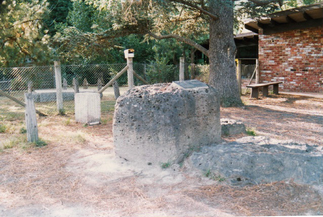 Hurst Family Cemetery Greysharps Rd Colour 3 - Shire of Eltham Heritage Study 1992