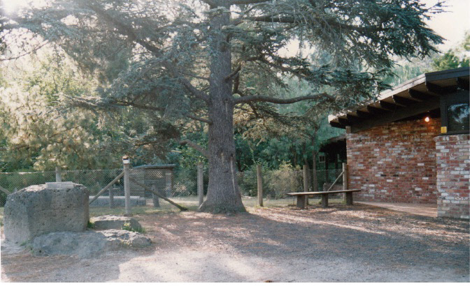 Hurst Family Cemetery Greysharps Rd Colour 7 - Shire of Eltham Heritage Study 1992