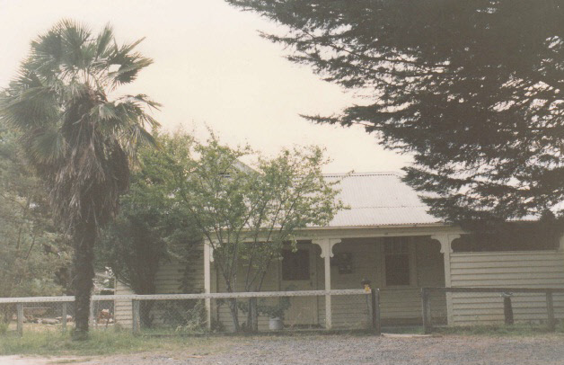 Railways Residence Palm Cypress Trees Hurstbridge Colour 3 - Shire of Eltham Heritage Study 1992