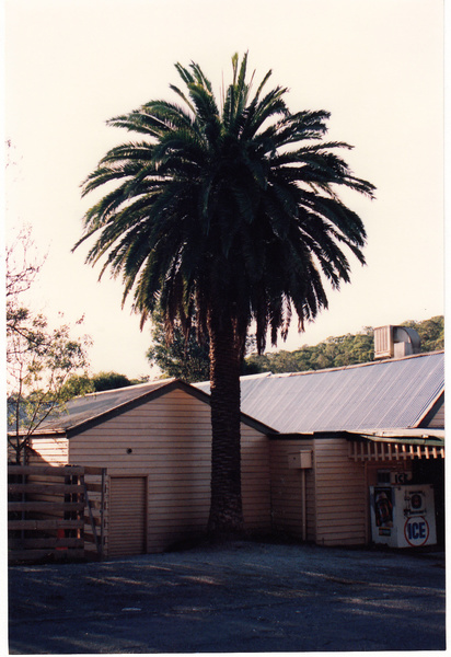 St Andrews Hotel Palm KangGround St Andrews Rd Colour 6 - Shire of Eltham Heritage Study 1992