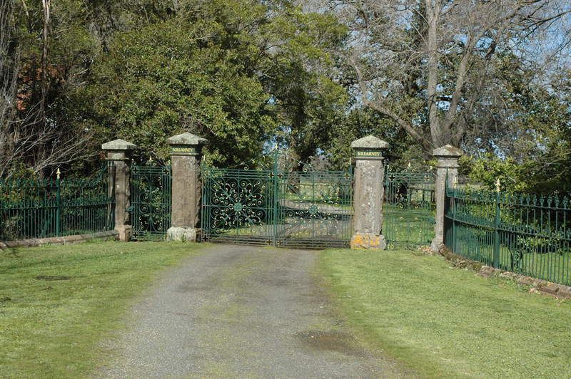 Illustration 3 Gates at Killarney, Dunnstown, 1901 have a similar scale and layout but differ in detail and cast iron pattern. They were designed by George Clegg, architect of Ballarat, who had also designed James Coghlan's home in Ballarat in 1888 and if