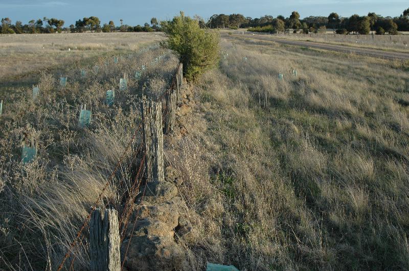 Dry Stone Wall R196