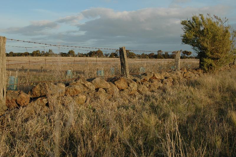 Dry Stone Wall R196