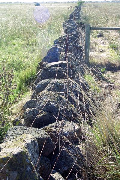 Dry Stone Wall B115